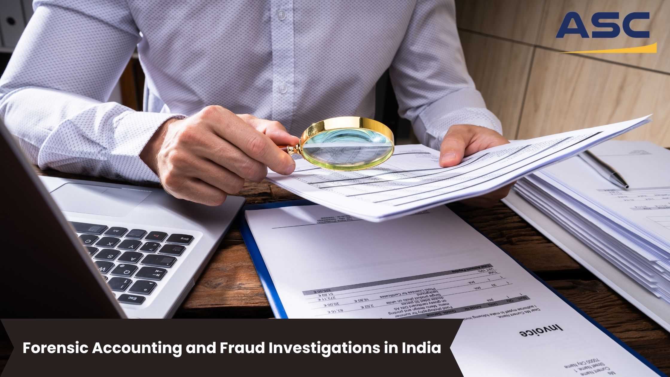 Forensic Accounting Fraud Investigations Service